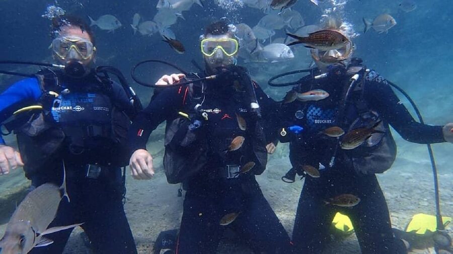 Antalya Scuba Diving Tour, With Lunch & Return Transfers - Transfers, Comfort, and the Small Things That Decide Your Mood