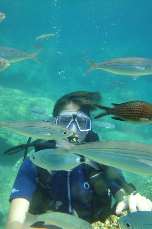 Antalya Scuba Diving Tour, With Lunch & Return Transfers - Who This Tour Fits Best (And Who Should Skip It)