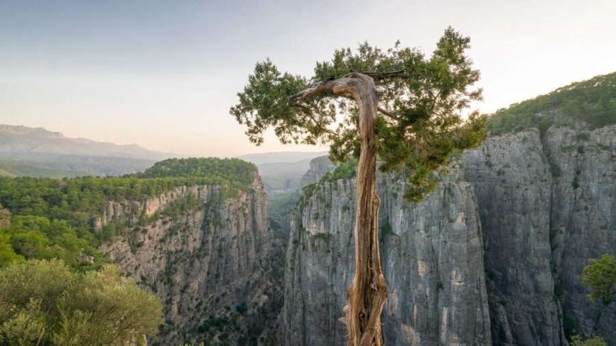 Antalya: Tazı Canyon - Rafting Combo Tour w/Pick Up - Tazı Canyon on an open-top cabrio bus: viewpoints first