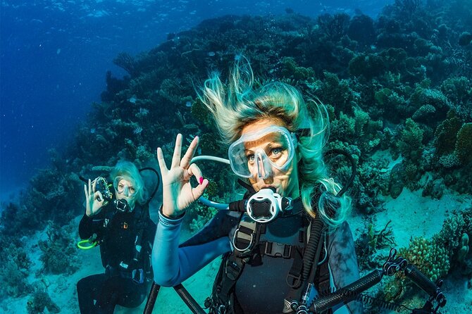 Belek Scuba Diving Experience (2 Dives) With Lunch - Weather, Timing, and Comfort Checklist