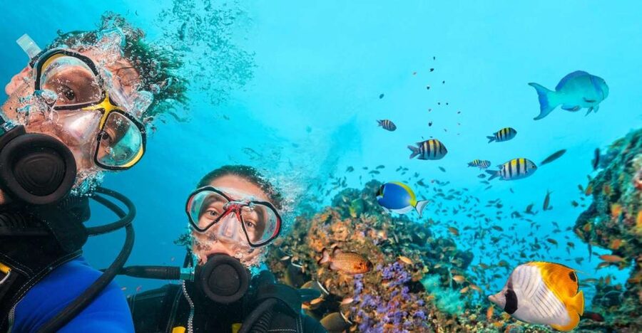 Belek: Scuba Diving in the Mediterranean Sea - Belek pickup to Kemer harbor, what the 10 hours really includes