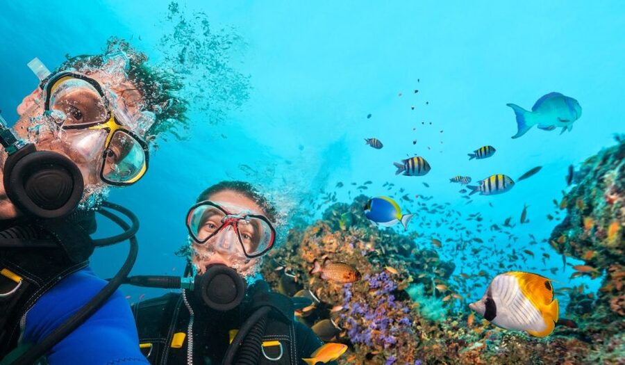 Belek: Scuba Diving in the Mediterranean Sea - Two underwater stops off the southern coast: fish, caves, and clear water