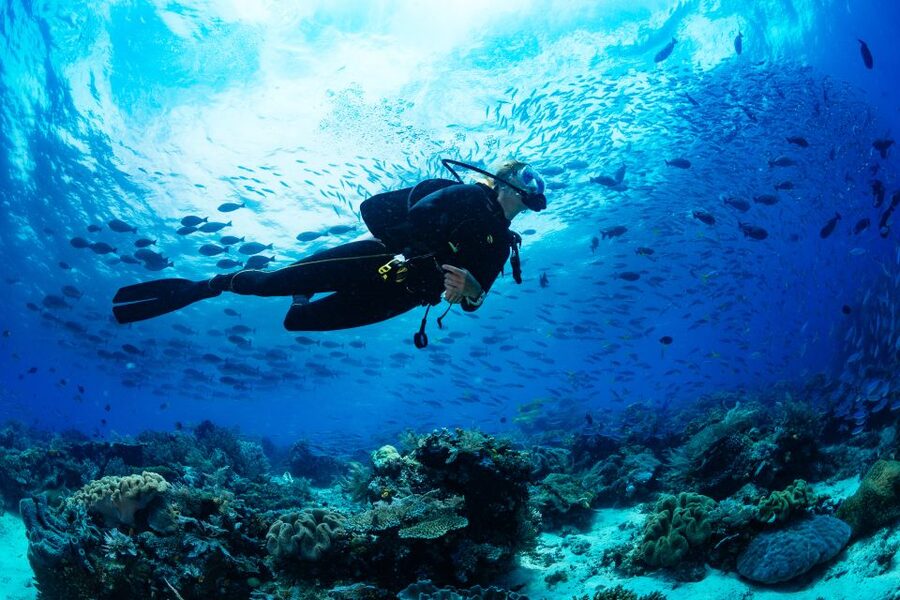Belek: Scuba Diving in the Mediterranean Sea - Language on board: Russian, English, German and practical expectations