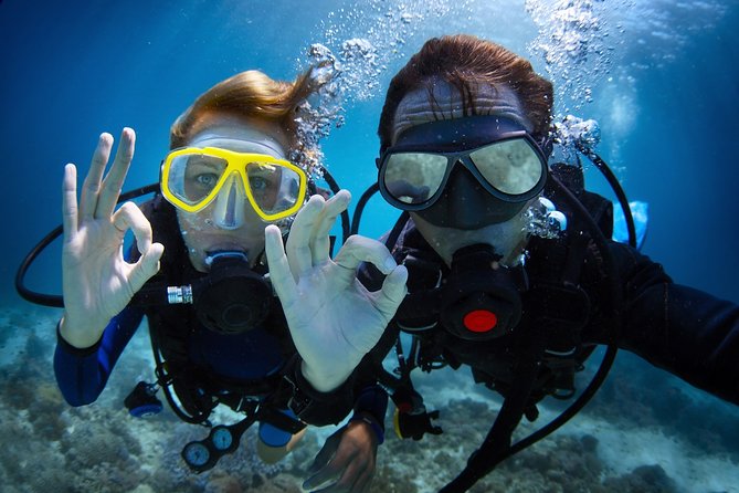 Diving in the Mediterranean sea - Key highlights to know before you go