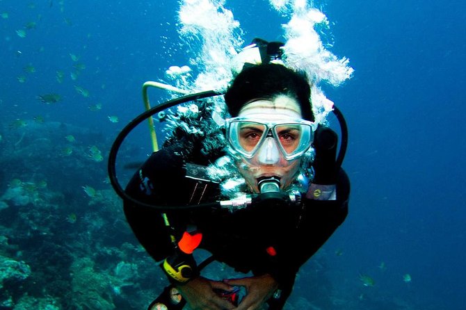 Diving in the Mediterranean sea - Where You Swim and What You’ll See Underwater