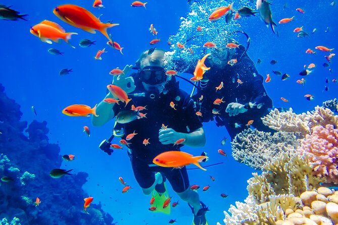 Exciteful Scuba Diving Experience in Antalya - Key things worth noting before you book