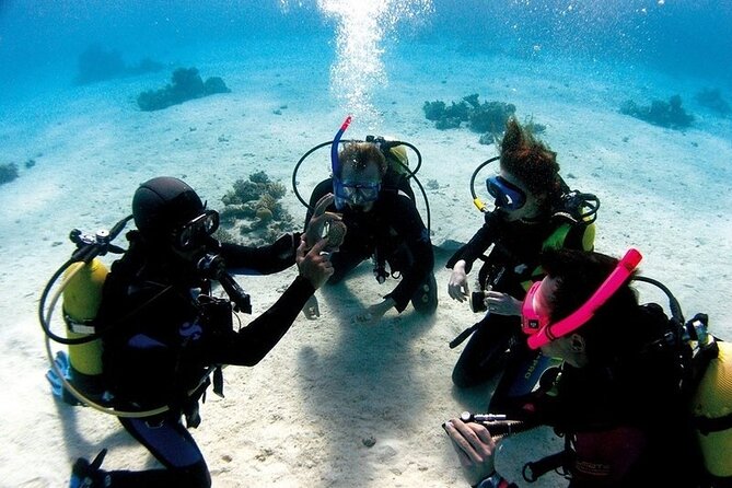 Exciteful Scuba Diving Experience in Antalya - Two short underwater sessions near Konyaaltı