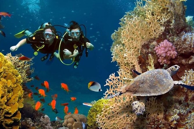 Exciteful Scuba Diving Experience in Antalya - From hotel pickup to gear check: how the day flows