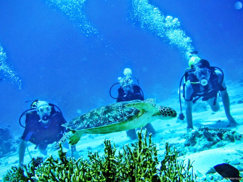 From Antalya| Kemer: Diving Tour with Experienced Instructor - Key points before you go