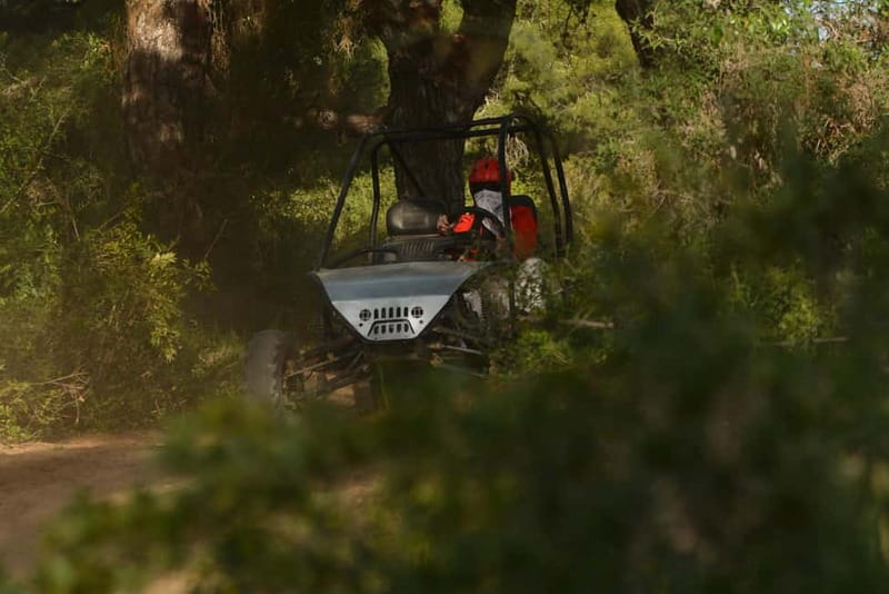 From Antalya:Near City Center Desert Buggy Safari - Why A Quad Safari Near Lara Beach Works So Well