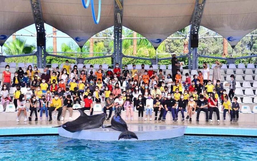From Belek: Dolphin Show with Transfers - Duration and Timing: Why 1 to 3 Hours Is a Smart Vacation Block