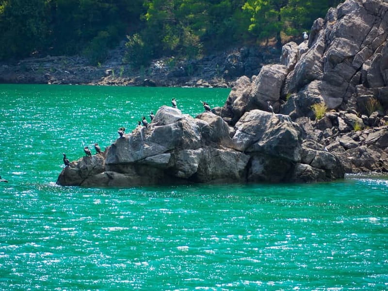 From Belek: Green Canyon Boat Trip with Lunch and Drinks - Swim Stops and What to Pack So You Can Actually Enjoy Them