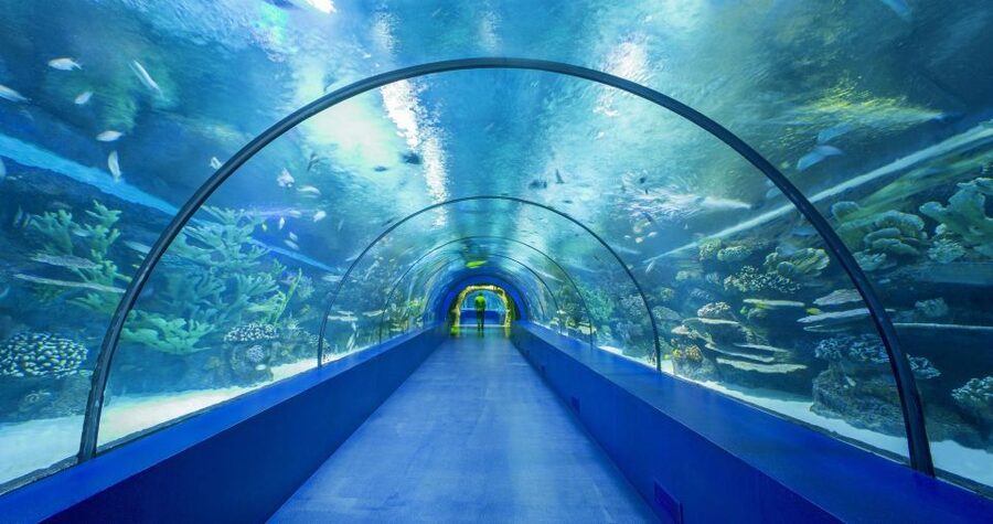 From city of Side: Antalya Aquarium Full-Day Trip - The 1.5-hour free time in Antalya: bazaar energy and how to use it