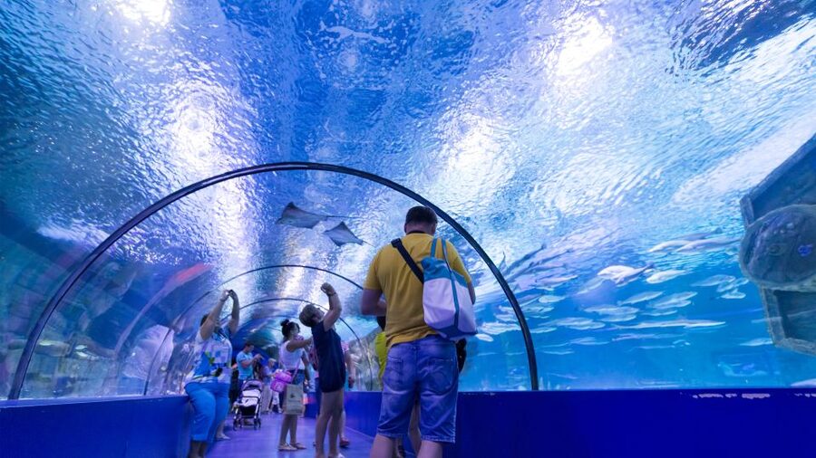 From city of Side: Antalya Aquarium Full-Day Trip - $77 for an 8-hour day: does the math work?