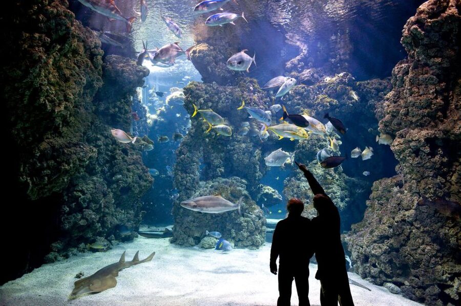 From city of Side: Antalya Aquarium Full-Day Trip - Who this trip is best for (and who should pass)