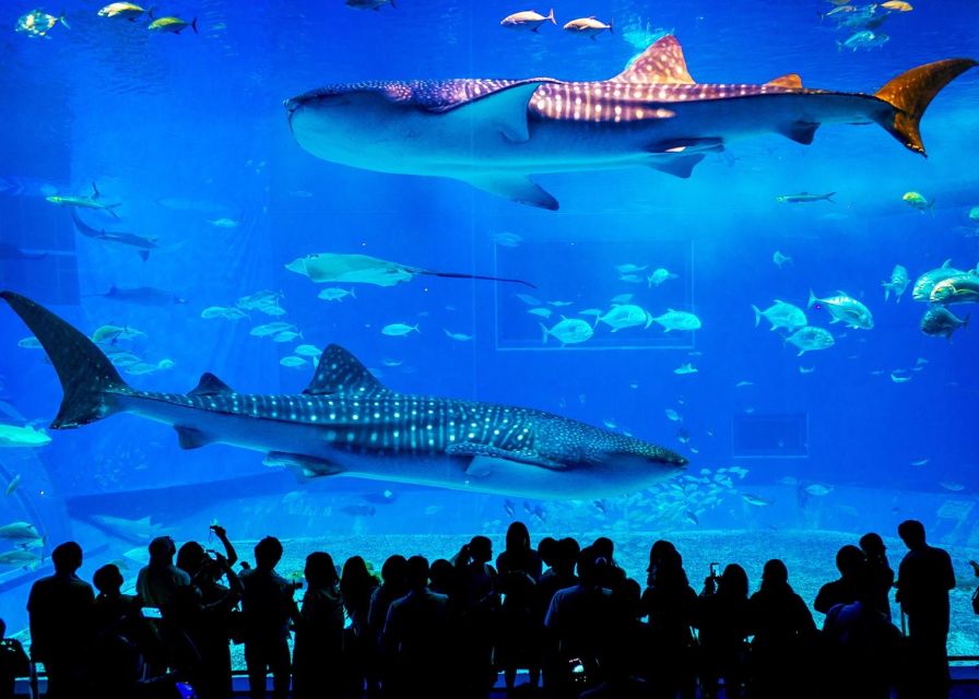 From city of Side: Antalya Aquarium Full-Day Trip - Practical tips to make the day work better