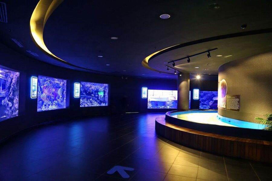 From city of Side: Antalya Aquarium Full-Day Trip - Transfers from Side and the pacing you should expect