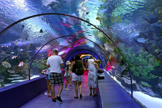 Half Day Antalya Aquarium Tour And Wax Museum - Why This Half Day Combo Works (Aquarium First, Photos Second)