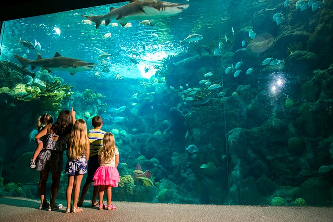 Half Day Antalya Aquarium Tour And Wax Museum - Face2Face Wax Museum: Lifesize Figures and a Quick 30-Minute Detour