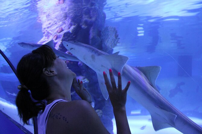 Half Day Antalya Aquarium Tour And Wax Museum - What’s Included, What’s Not, and the Value of This $70 Price
