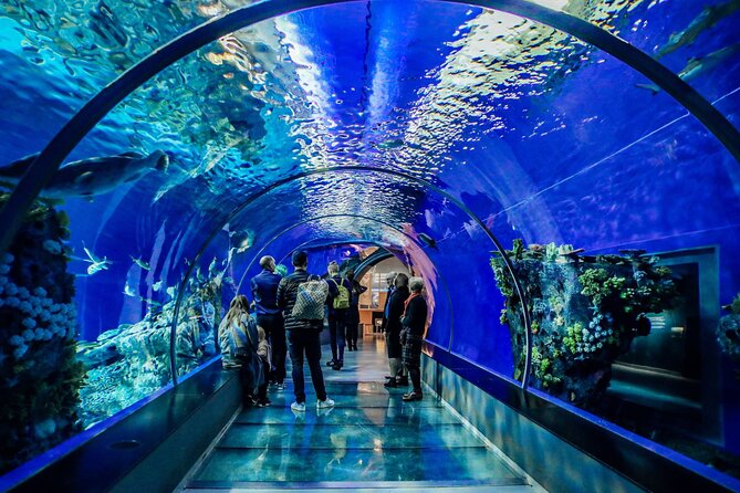 Half Day Antalya Aquarium Tour And Wax Museum - Who This Tour Suits Best (And Who Might Want a Different Option)