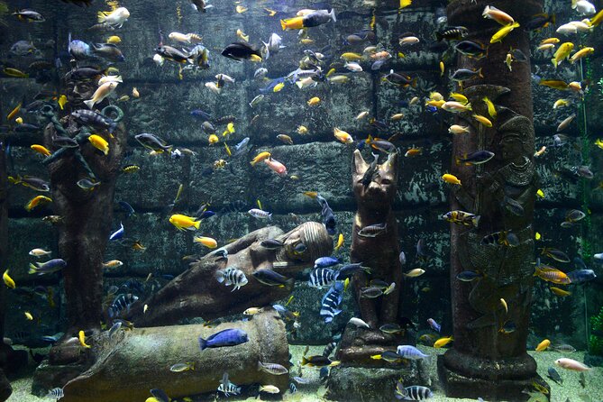 Half Day Antalya Aquarium Tour And Wax Museum - How to Make This Feel Like a Vacation, Not a Checklist