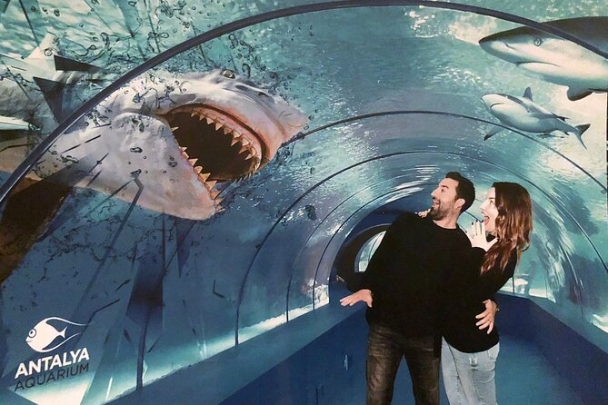 Half Day Antalya Aquarium Tour And Wax Museum - The 2:00 pm Start, Pickup Rhythm, and How the Timing Feels