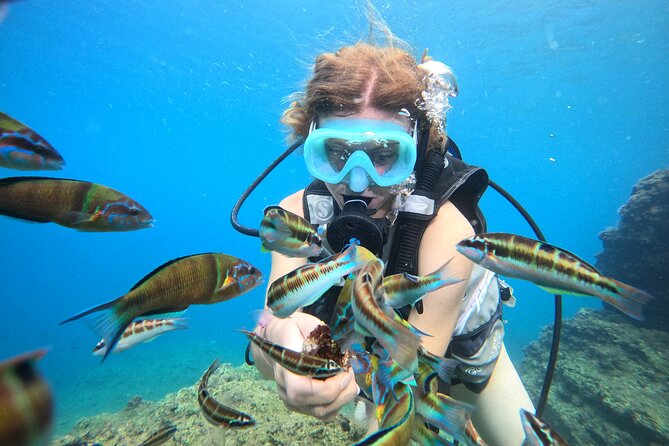Half Day Scuba Diving @ Duden Waterfalls - Underwater sessions: how the experience changes by your level