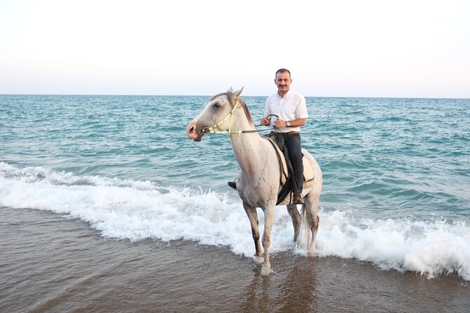 Horse back Riding in Antalya - Safety and horse care: what I would ask, right up front