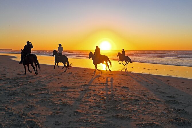 Horse Riding in Antalya,Belek,Lara Beach(Sunrise,Sunset,Day Time) - What You Actually Do on the Horse: The Riding Style