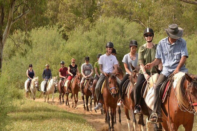 Kemer Horse Safari Experience With Free Hotel Transfer - Your hour on horseback: what the ride feels like