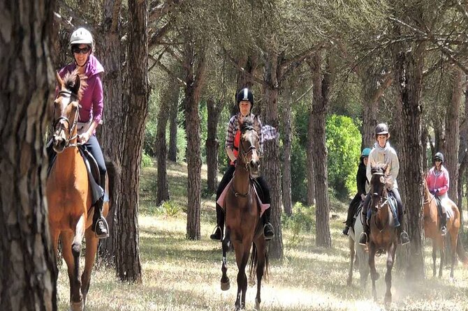 Kemer Horse Safari Experience With Free Hotel Transfer - Clothing, shoes, and simple prep that actually matters