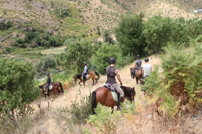Kemer Horse Safari Experience With Free Hotel Transfer - The instructor briefing, safety gear, and why it helps beginners