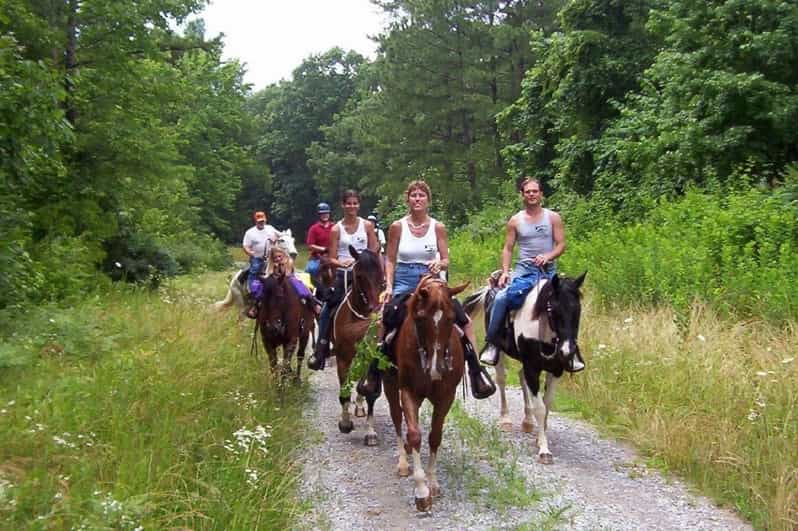 Kemer Horse Safari, pick up from Kiris, Beldibi, Goynuk - Door-to-door pickup from Kiris, Beldibi, and Goynuk (the part that saves time)