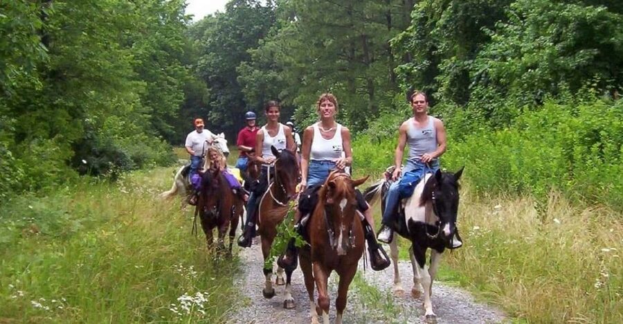 Kemer Horse Safari, pick up from Kiris, Beldibi, Goynuk - Managing the 2-hour window: what happens before and after the horse time