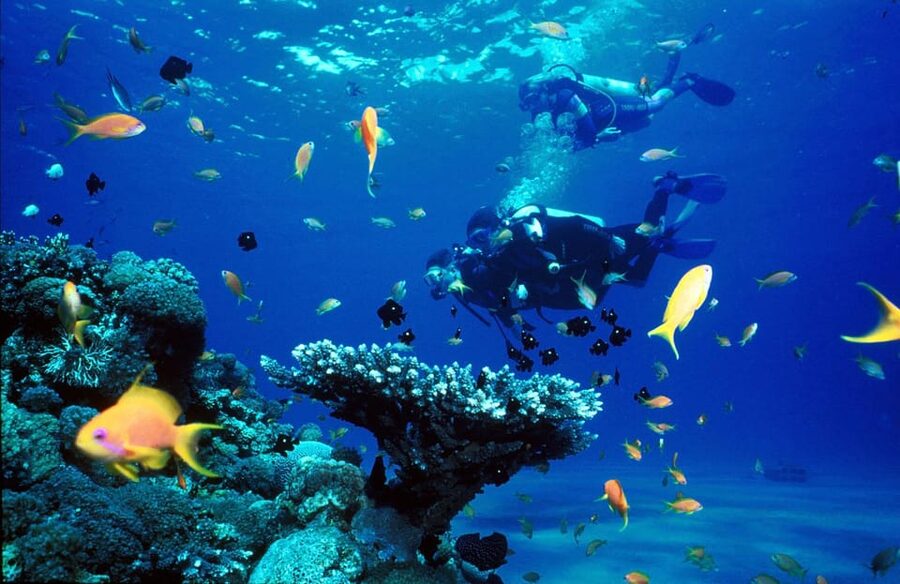 Kemer Scuba Diving with Expert Diving Option - Two guided underwater sessions: 10 to 15 minutes each, with caves and reefs