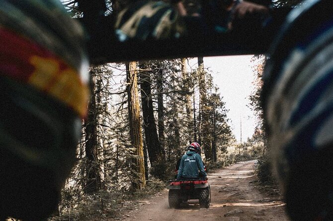 Quad Biking in Belek Forests & Taurus Mountains - Short stops that let you actually enjoy the scenery