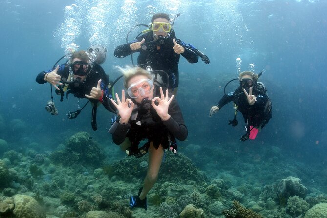 Scuba Diving in Antalya from Antalya & Kemer - Certificate time, plus the end-of-day upsell reality