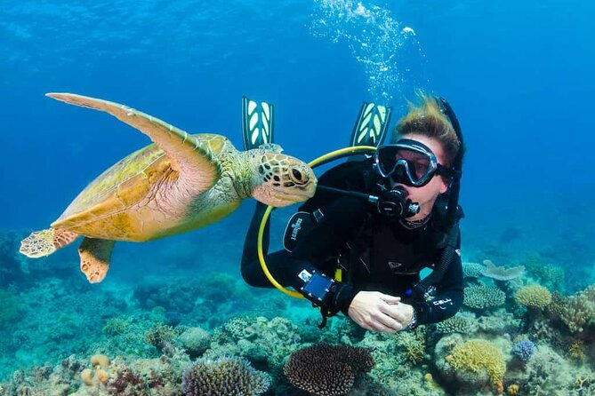 Scuba Diving Tour in Kemer with Lunch and Transfer - Key highlights at a glance