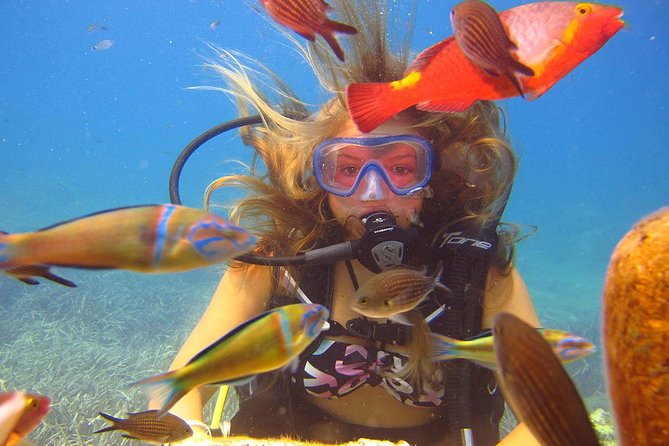 Side: Scuba Diving Under Water Museum - Underwater Museum Off Side, What Makes It Special