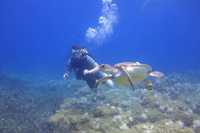 Side: Scuba Diving Under Water Museum - Price and Value: How $50 Adds Up
